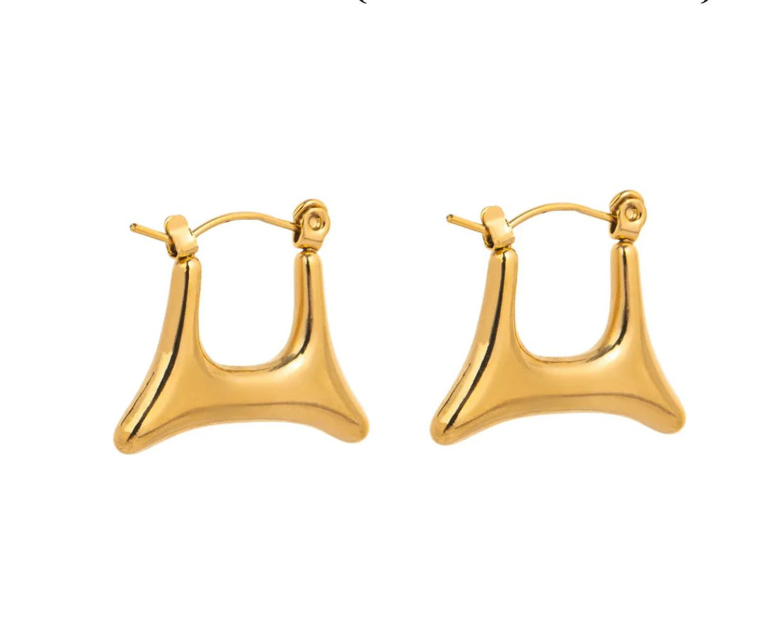 Anti tranish Purse Golden Hoop Earring