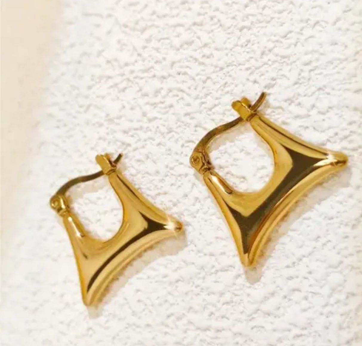 Anti tranish Purse Golden Hoop Earring